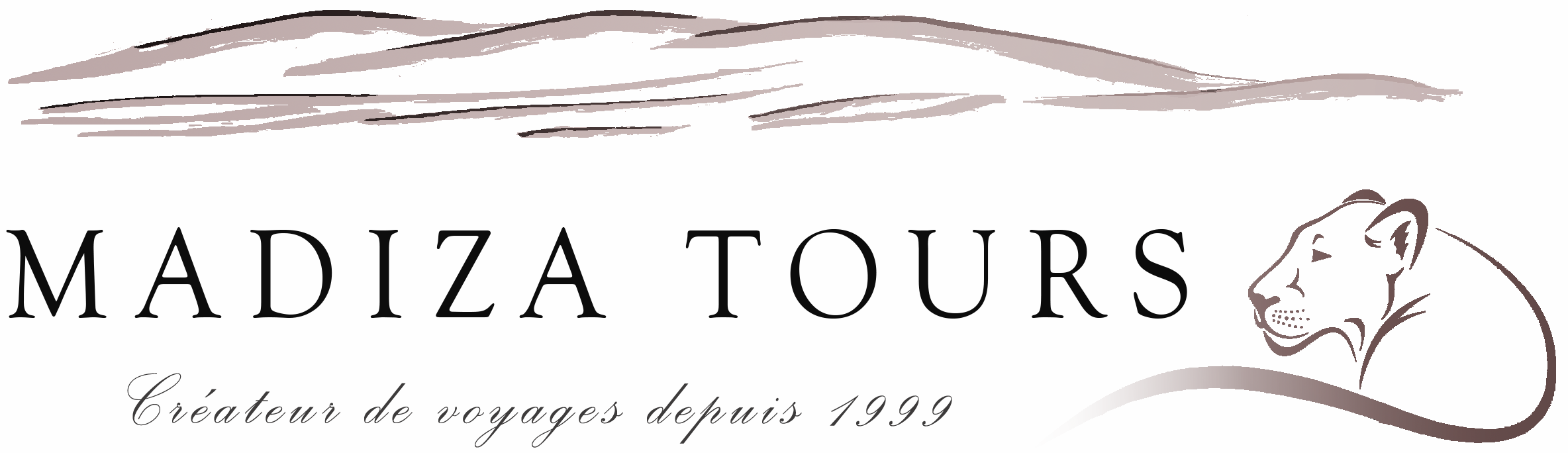 Madiza Tours