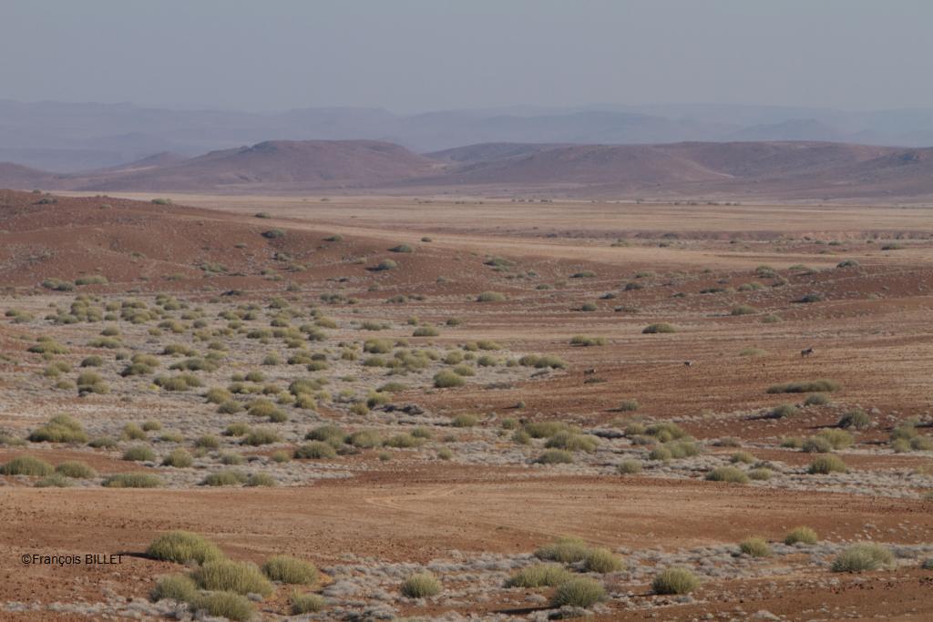 Damaraland - Namibie