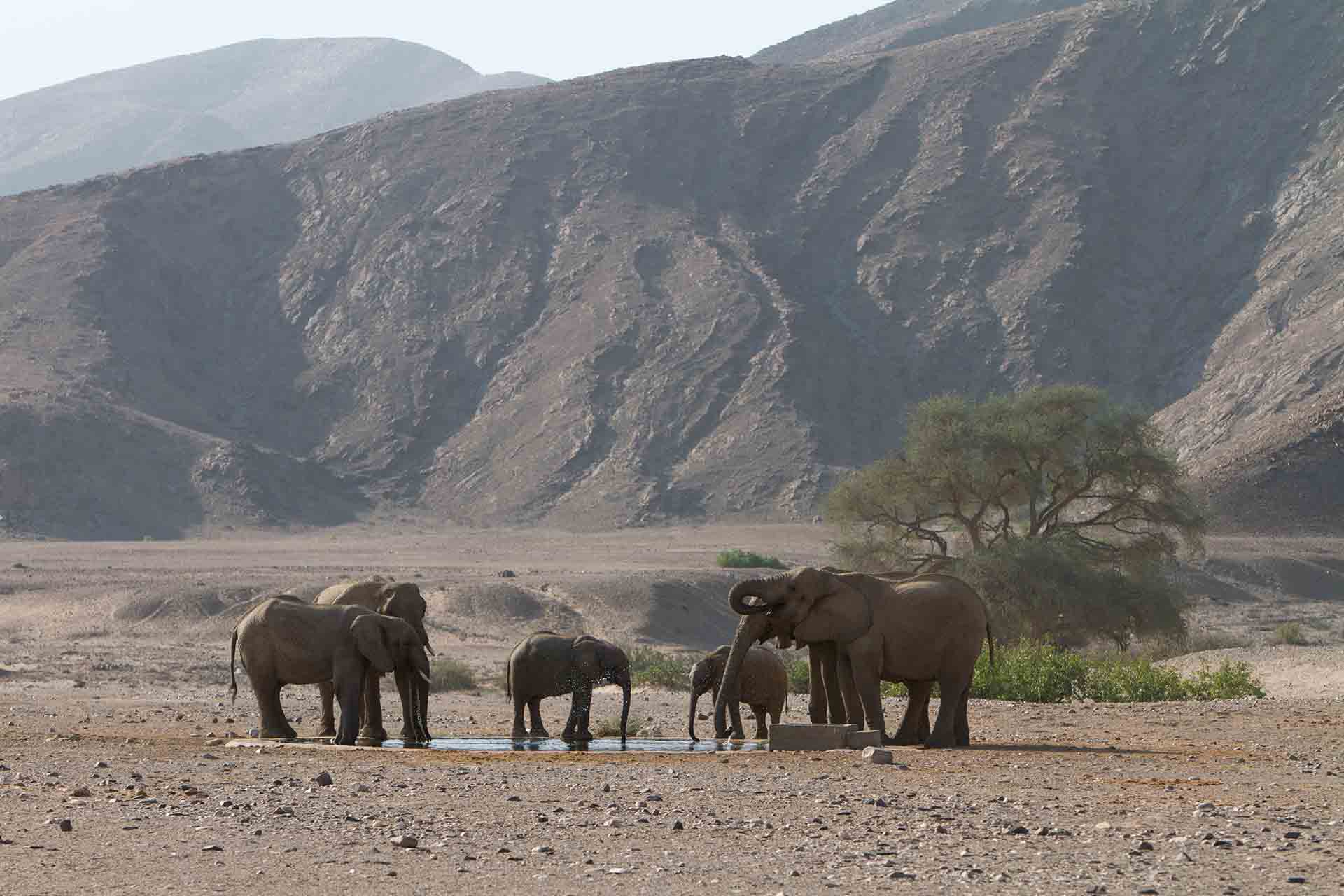 Damaraland - Namibie