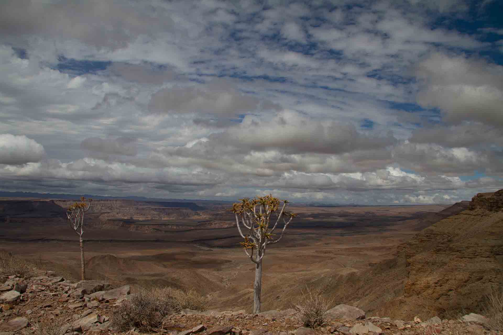 Fish River Canyon - Namibie