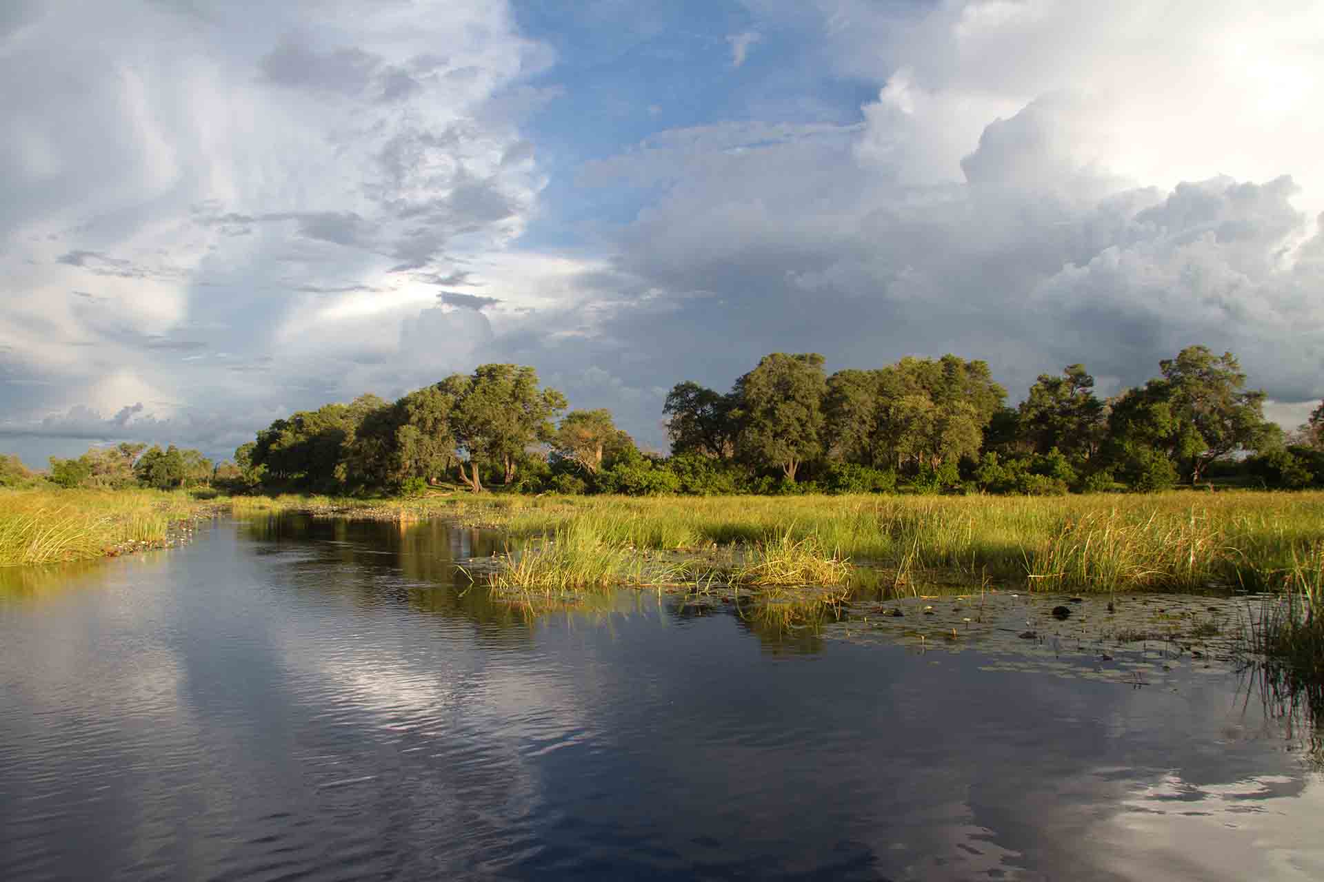 Zambezi - Bande de Caprivi