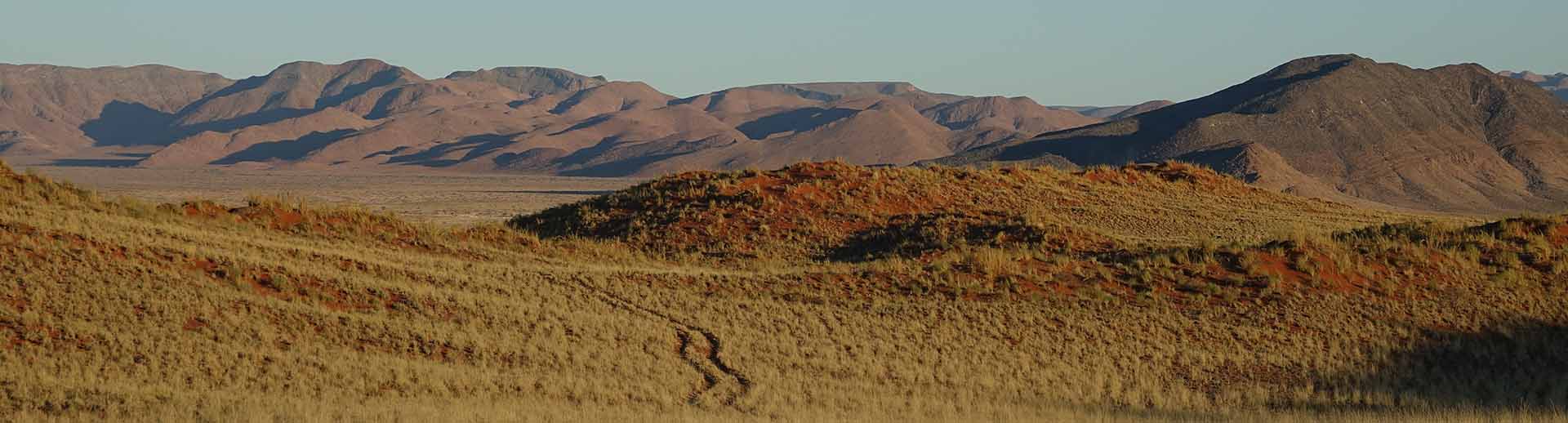 Namib