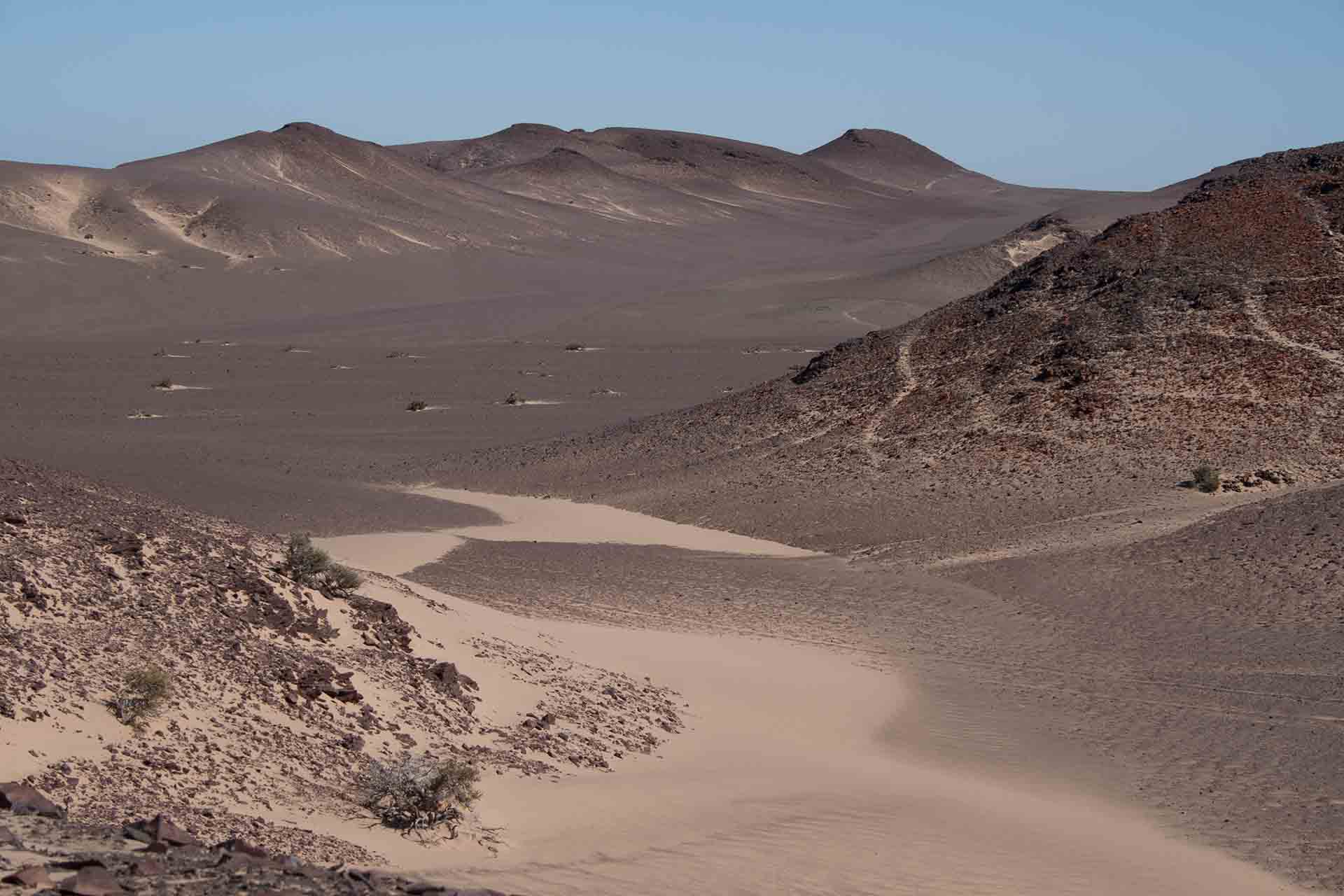 Skeleton Coast - Namibie