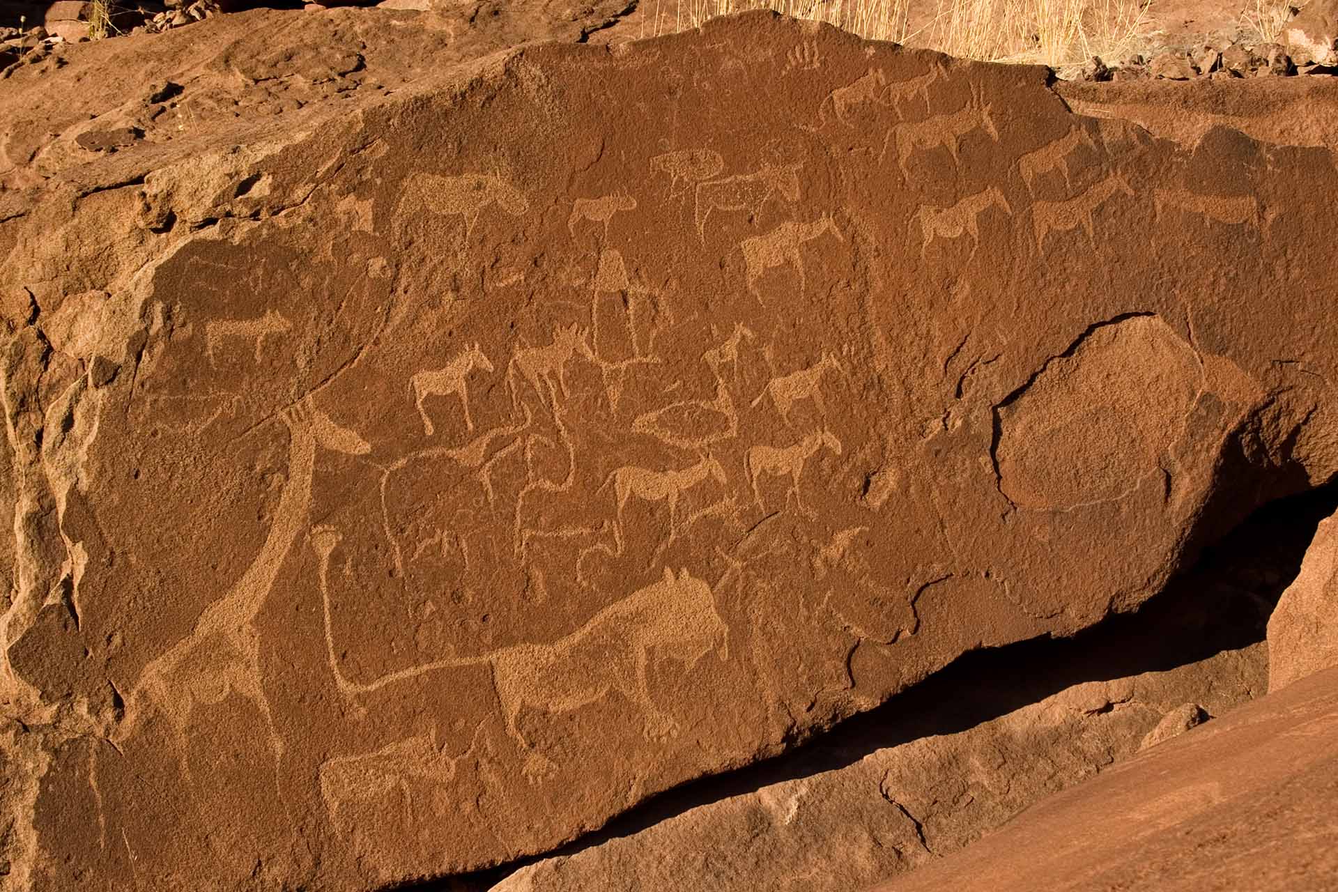 Gravures rupestres - Twyfelfontein